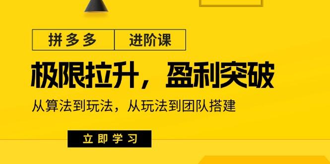 拼多多·进阶课：极限拉升/盈利突破：从算法到玩法 从玩法到团队搭建-18节-悟空云赚AI