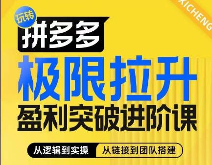 拼多多极限拉升盈利突破进阶课，​从算法到玩法，从玩法到团队搭建，体系化系统性帮助商家实现利润提升-悟空云赚AI