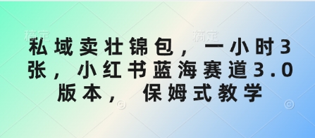 私域卖壮锦包，一小时3张，小红书蓝海赛道3.0版本， 保姆式教学-悟空云赚AI