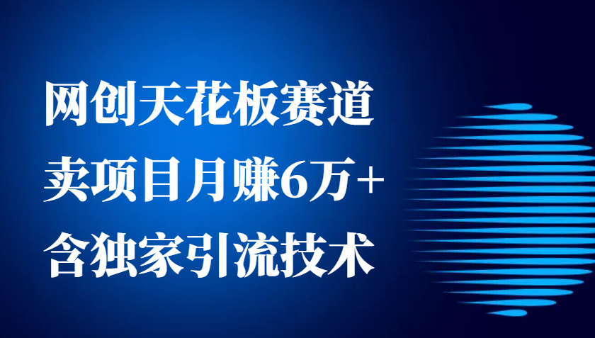 网创天花板赛道，卖项目月赚6万+，含独家引流技术(共26节课)-悟空云赚AI