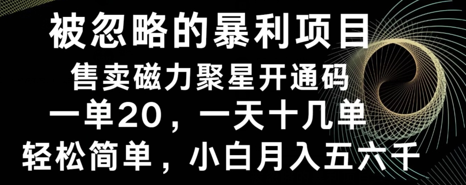 被忽略的暴利项目！售卖磁力聚星开通码，一单20，一天十几单，轻松月入五六千-悟空云赚AI