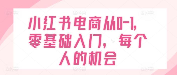 小红书电商从0-1，零基础入门，每个人的机会-悟空云赚AI