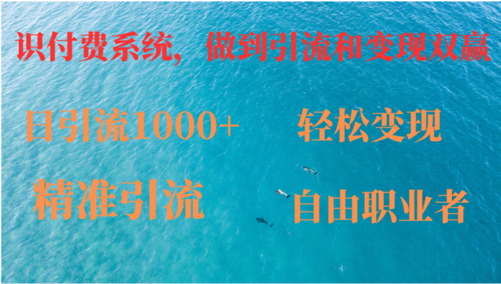 如何搭建自己的知识付费系统，做到引流和变现双赢-悟空云赚AI