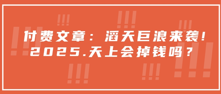 付费文章：滔天巨浪来袭！2025天上会掉钱吗？-悟空云赚AI