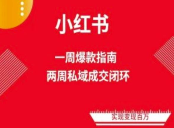 爆款小红书免费流量体系课程(两周变现)，小红书电商教程-悟空云赚AI