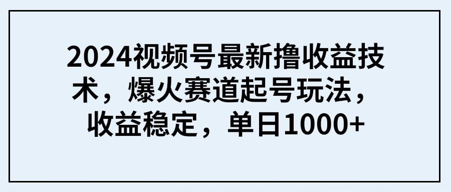 (9651期) 2024视频号最新撸收益技术，爆火赛道起号玩法，收益稳定，单日1000+-悟空云赚AI