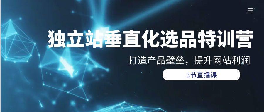 (9925期)独立站-垂直化选品训练营，打造产品壁垒，提升网站利润(3节直播课)-悟空云赚AI