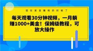 每天观看30分钟视频，一月躺赚1000+美金！保姆级教程，可放大操作【揭秘】-悟空云赚AI
