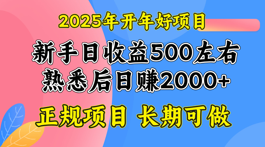 2025开年好项目，单号日收益2000左右-悟空云赚AI