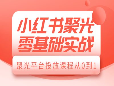 小红书聚光零基础实战，聚光平台投放课程从0到1-悟空云赚AI