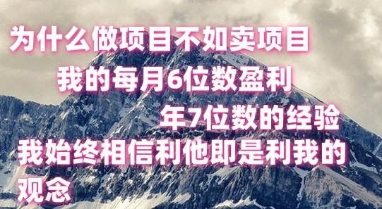 做项目不如卖项目，每月6位数盈利，年7位数经验-悟空云赚AI