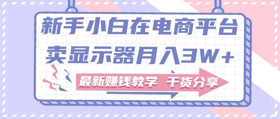 新手小白如何做到在电商平台卖显示器月入3W+，最新赚钱教学干货分享-悟空云赚AI