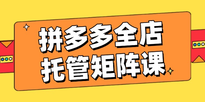 拼多多全店托管矩阵课，盈利动销玩法，高效计划设置，提升店铺效益-悟空云赚AI