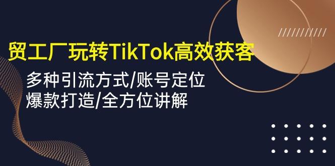 外贸工厂玩转TikTok高效获客，多种引流方式/账号定位/爆款打造/全方位讲解-悟空云赚AI