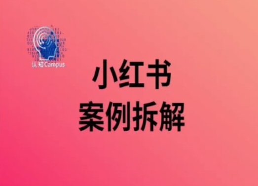 小红书案例拆解，深度解读小红书40万粉-悟空云赚AI