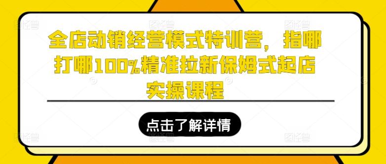 全店动销经营模式特训营，指哪打哪100%精准拉新保姆式起店实操课程-悟空云赚AI