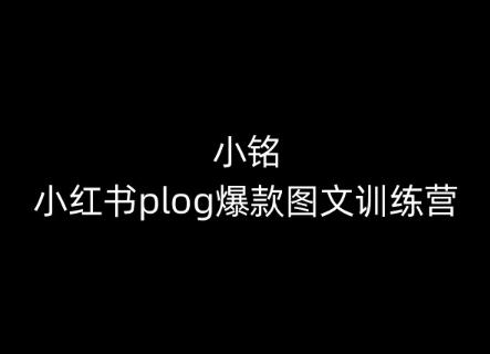 小铭-小红书plog爆款图文训练营，教你从0-1做小红书-悟空云赚AI