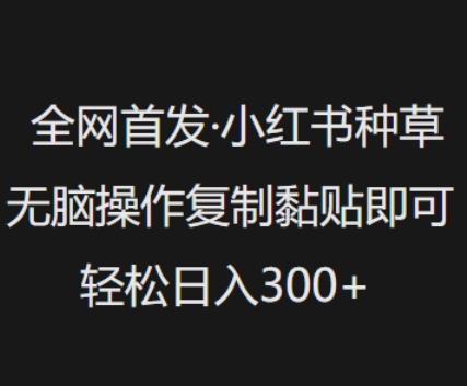 全网首发，小红书种草无脑操作，复制黏贴即可，轻松日入3张-悟空云赚AI