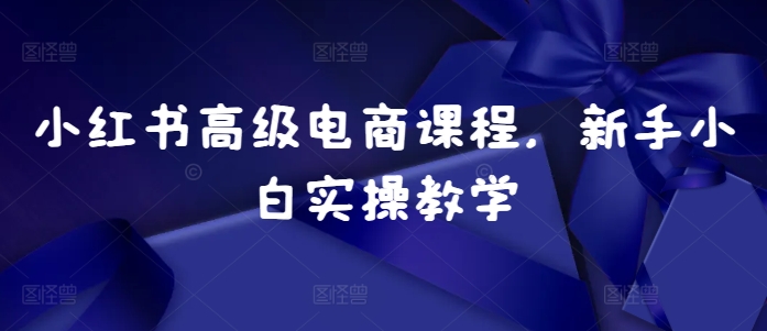 小红书高级电商课程，新手小白实操教学-悟空云赚AI