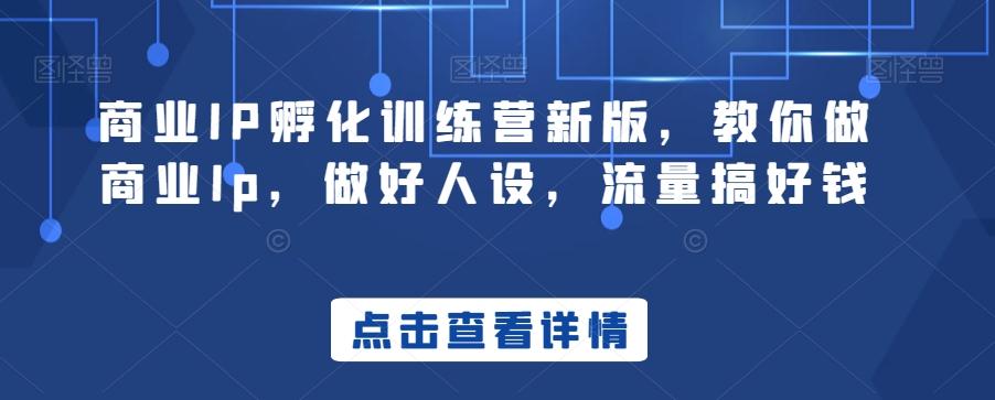 商业IP孵化训练营新版，教你做商业Ip，做好人设，流量搞好钱-悟空云赚AI