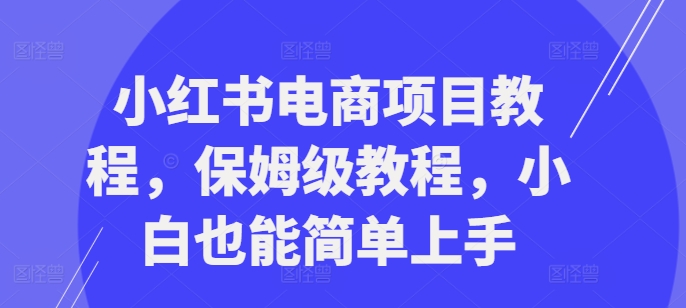 小红书电商项目教程，保姆级教程，小白也能简单上手-悟空云赚AI