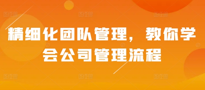 精细化团队管理，教你学会公司管理流程-悟空云赚AI