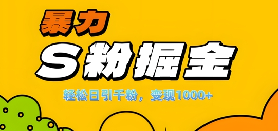 单人单机日引千粉，变现1k+，S粉流量掘金计划攻略【揭秘】-悟空云赚AI