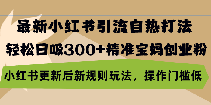最新小红书引流自热打法，轻松日吸300+精准宝妈创业粉，小红书更新后新…-悟空云赚AI