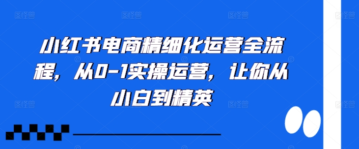 小红书电商精细化运营全流程，从0-1实操运营，让你从小白到精英-悟空云赚AI