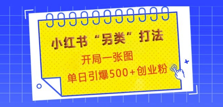 小红书“另类”打法，开局一张图，单日引爆500+精准创业粉【揭秘】-悟空云赚AI