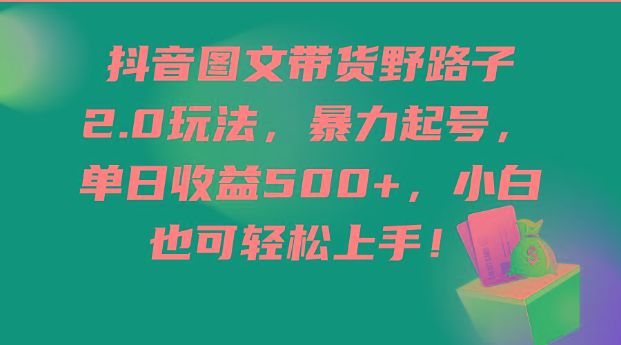 (9790期)抖音图文带货野路子2.0玩法，暴力起号，单日收益500+，小白也可轻松上手！-悟空云赚AI