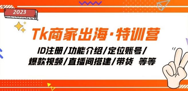 Tk商家出海·特训营：ID注册/功能介绍/定位账号/爆款视频/直播间搭建/带货-悟空云赚AI
