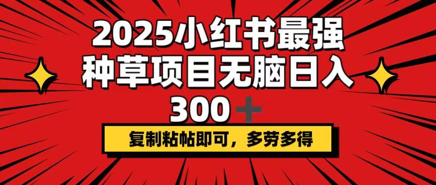 2025小红书最强种草项目，无脑日入300+，复制粘帖即可，多劳多得-悟空云赚AI
