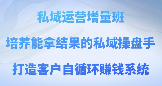 私域运营增量班，培养能拿结果的私域操盘手，打造客户自循环赚钱系统-悟空云赚AI