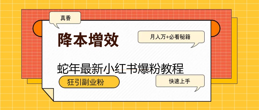 蛇年最新小红书爆粉教程，狂引副业粉，月入万+必看-悟空云赚AI