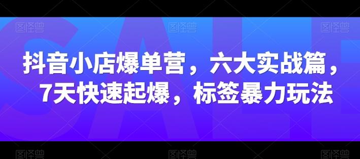 抖音小店爆单营，六大实战篇，7天快速起爆，标签暴力玩法-悟空云赚AI