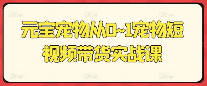 元宝宠物从0~1宠物短视频带货实战课-悟空云赚AI