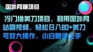 冷门撸美刀项目，利用国外网站刷视频，轻松日入80+美刀，可放大操作，小白随便上手-悟空云赚AI