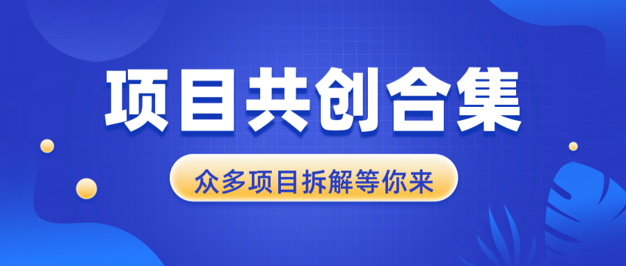 项目共创合集，从0-1全过程拆解，让你迅速找到适合自已的项目-悟空云赚AI