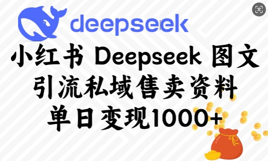 小红书Deepseek图文引流私域售卖资料，单日变现多张-悟空云赚AI