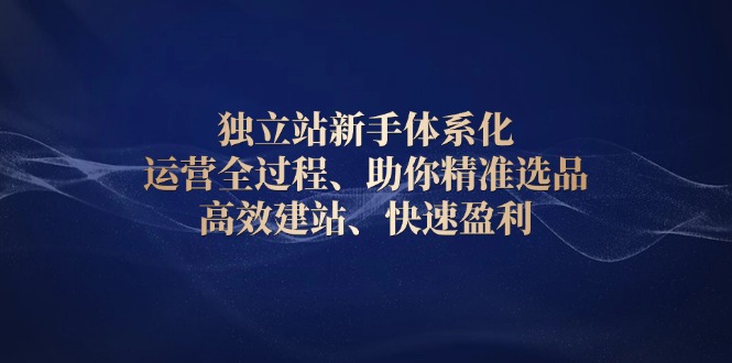 独立站新手体系化 运营全过程，助你精准选品、高效建站、快速盈利-悟空云赚AI
