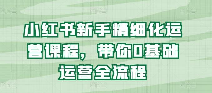 小红书新手精细化运营课程，带你0基础运营全流程-悟空云赚AI