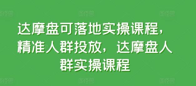 达摩盘可落地实操课程，精准人群投放，达摩盘人群实操课程-悟空云赚AI