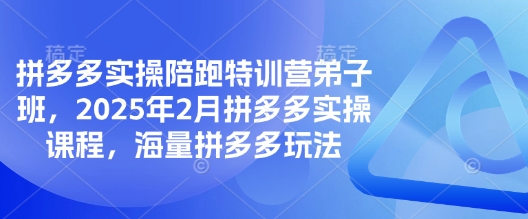 拼多多实操陪跑特训营弟子班，2025年2月拼多多实操课程，海量拼多多玩法-悟空云赚AI