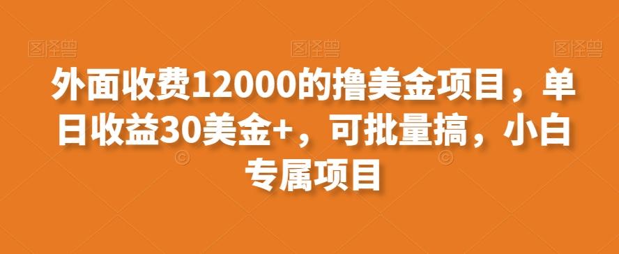 外面收费12000的撸美金项目，单日收益30美金+，可批量搞，小白专属项目-悟空云赚AI