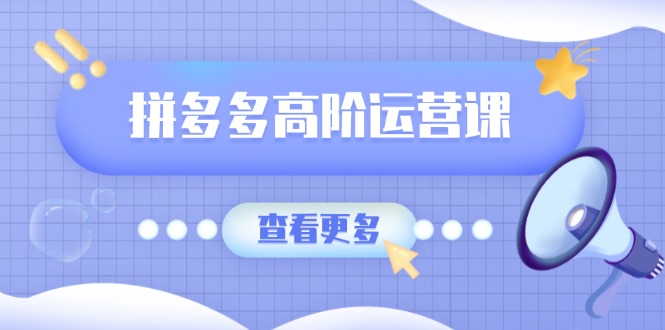 拼多多高阶运营课：极致群爆款玩法，轻付费无尽复制，打造单品爆款之路-悟空云赚AI