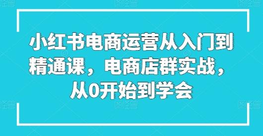 小红书电商运营从入门到精通课，电商店群实战，从0开始到学会-悟空云赚AI