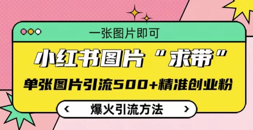 小红书图片‘求带’爆火引流法，单张图片引流500+精准创业粉【揭秘】-悟空云赚AI