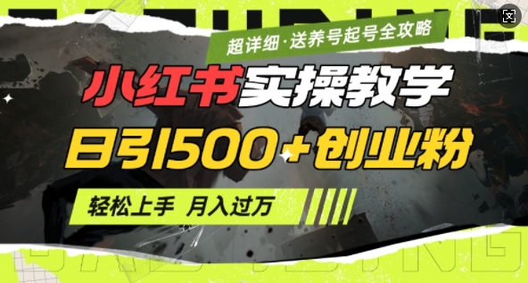 2月小红书最新日引500+创业粉实操教学【超详细】小白轻松上手，月入1W+，附小红书养号起号SOP-悟空云赚AI