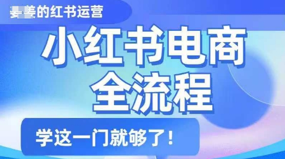 小红书电商全流程，精简易懂，从入门到精通，学这一门就够了-悟空云赚AI